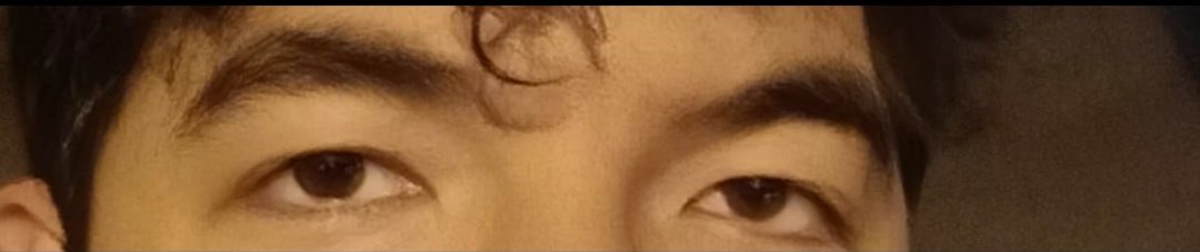 alivi🐊 tweet media