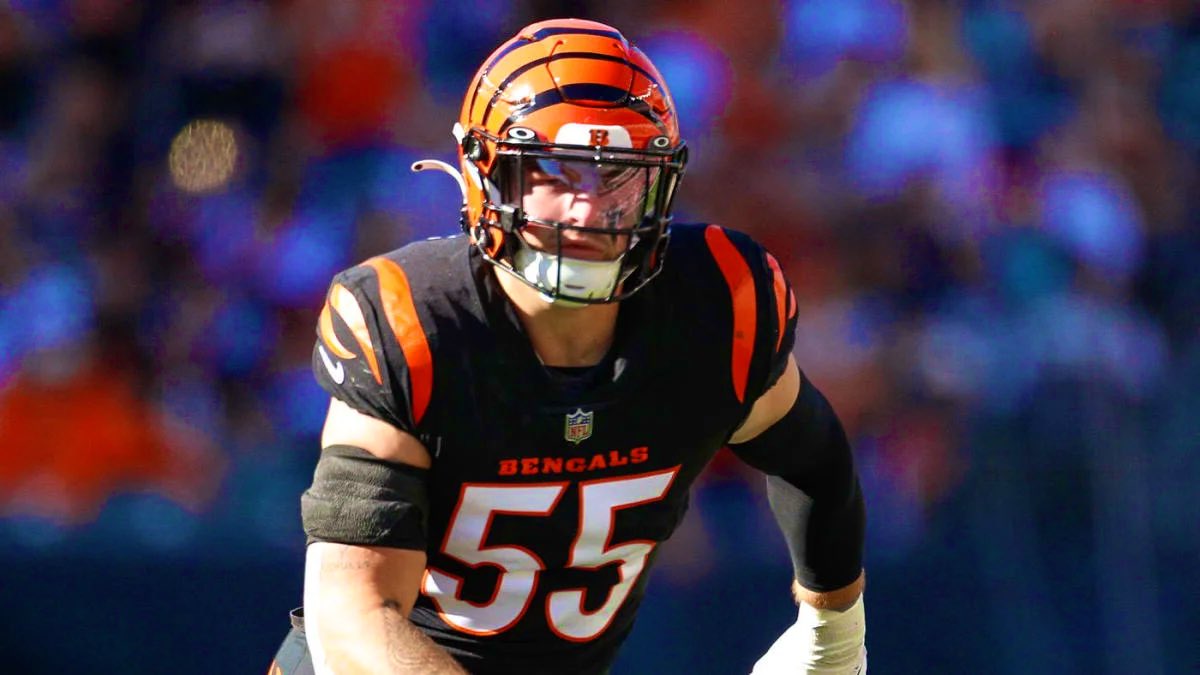 Los INDIES de la NFL tweet media