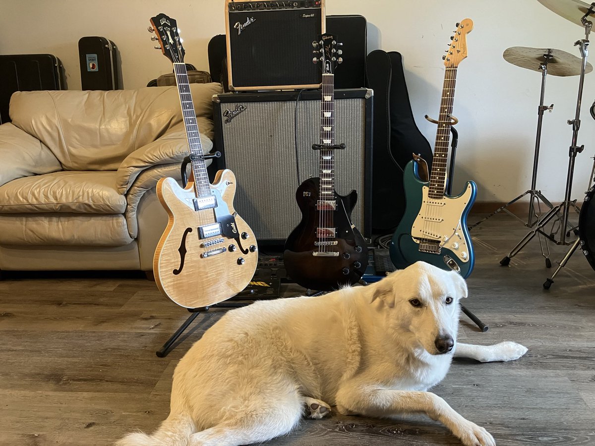 Ranwaldo VonSlappenstein tweet media