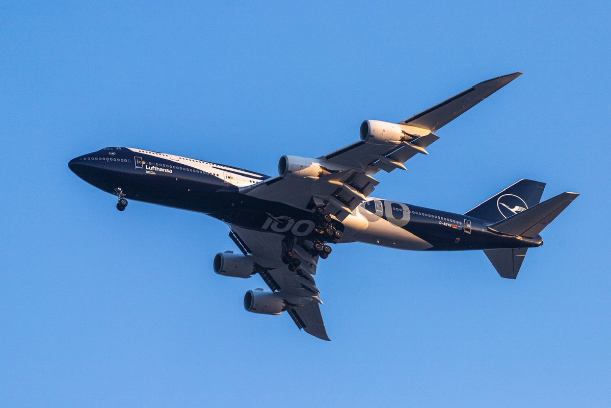 Mario Mora tweet media