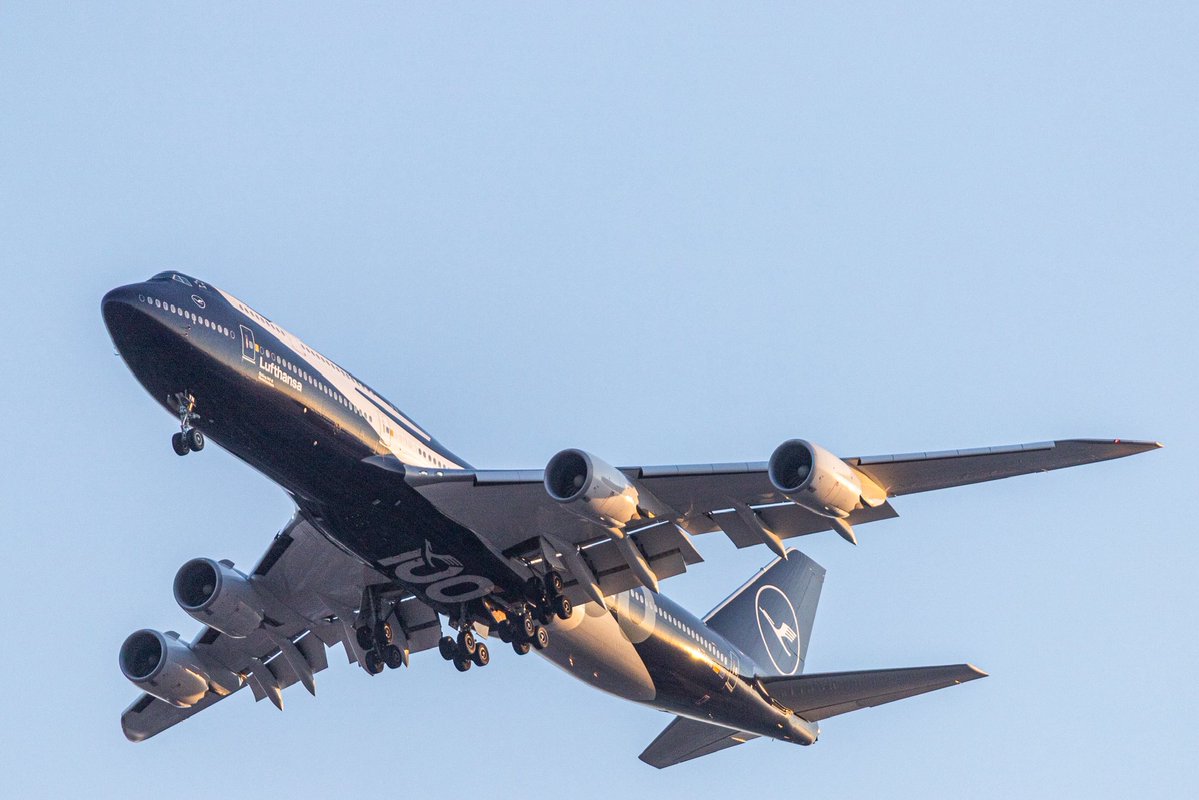 Mario Mora tweet media