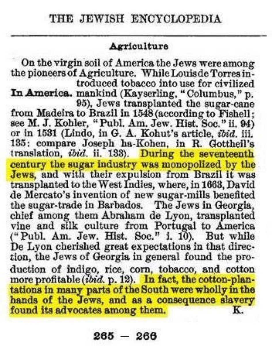 Lou Rage tweet media