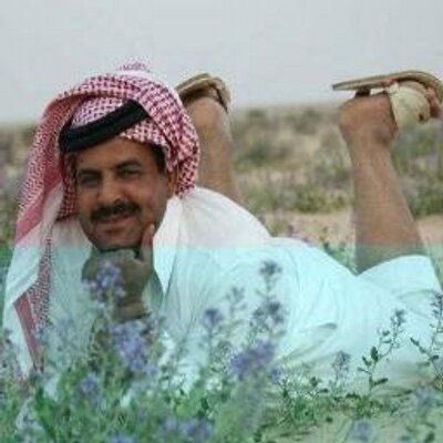 sυℓταи tweet media