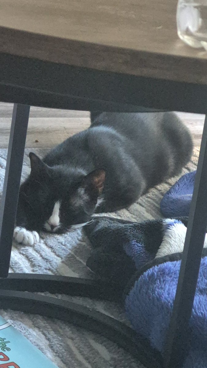 Casper | Vtuber tweet media