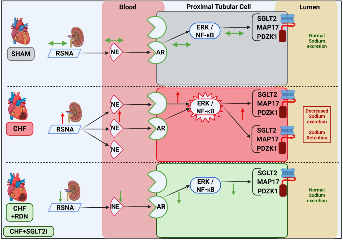 Hypertension tweet media