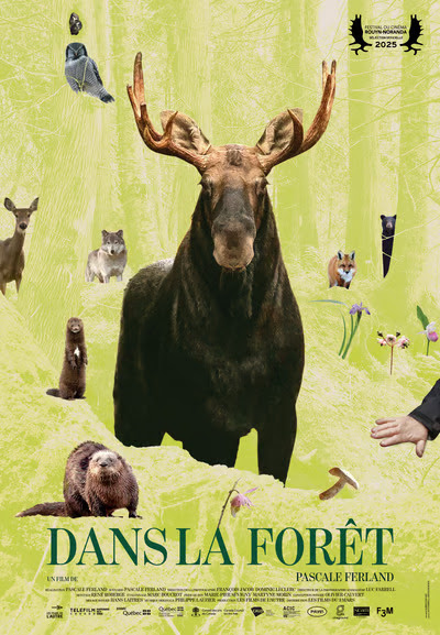 CTVM info tweet media