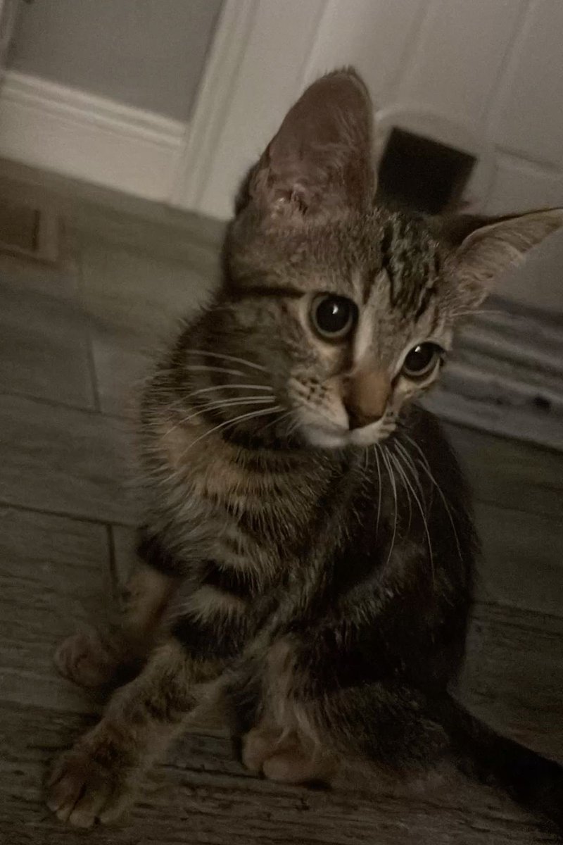 Carter Vaughn tweet media