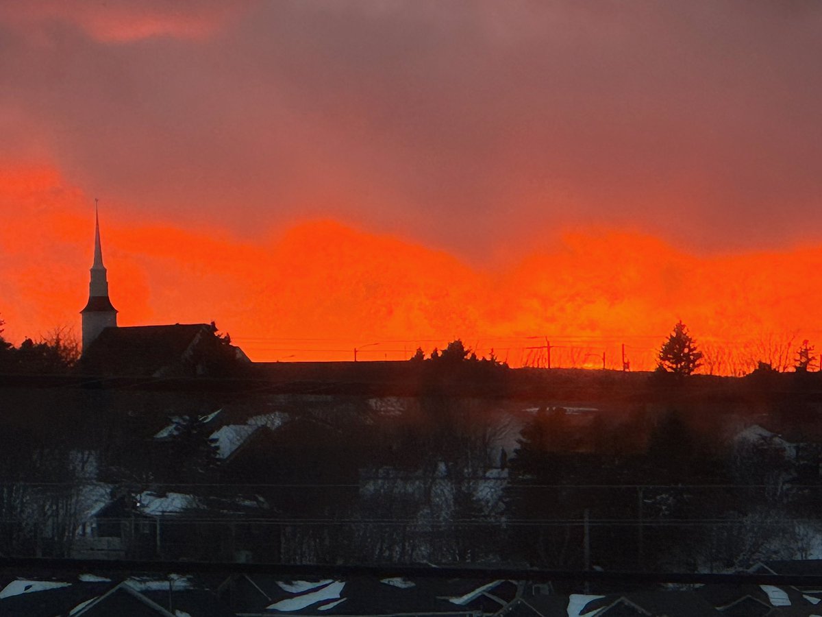 🇨🇦 tweet media