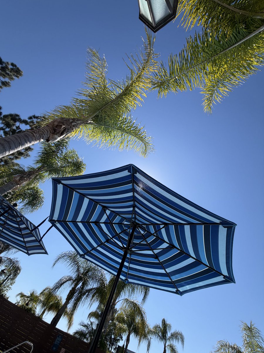 Ontological MD 🩺💻💙🇺🇸🇮🇹🇺🇦🎗️ tweet media