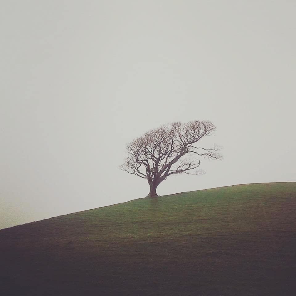 newspectres tweet media