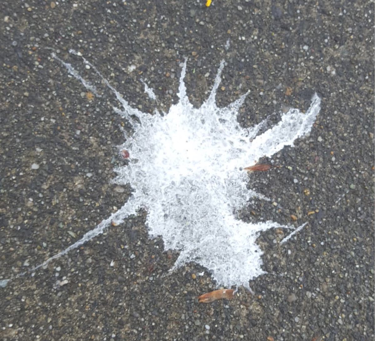 Xavier d’Espinay Saint Luc tweet media