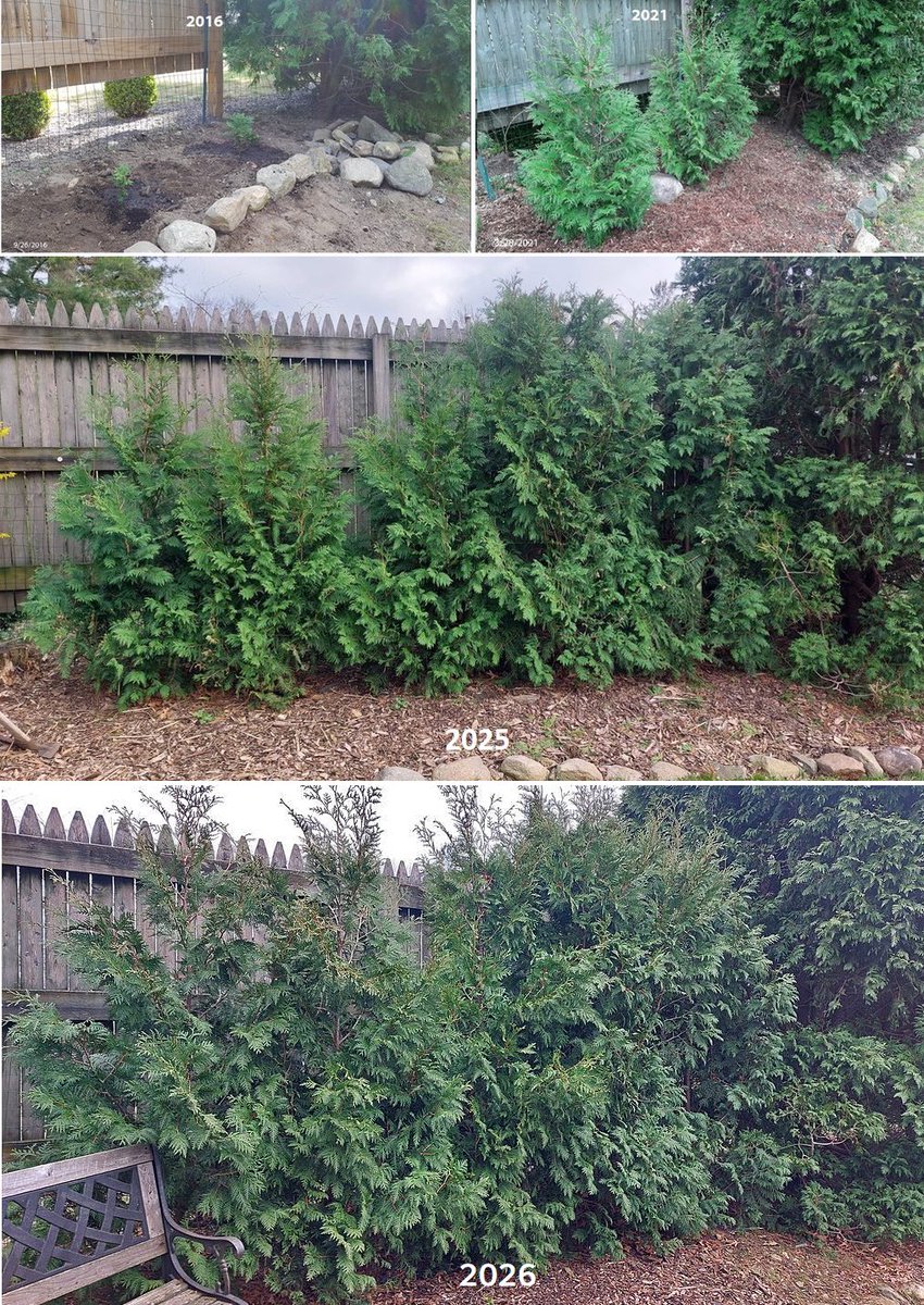 Ralphs Weather OBS tweet media