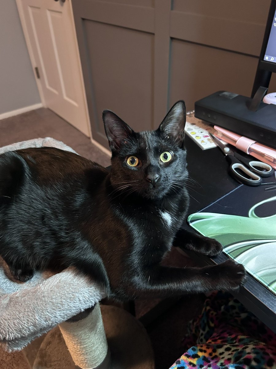 Hana Yoshida 💜| Ghost Vtuber 👻✖️ tweet media