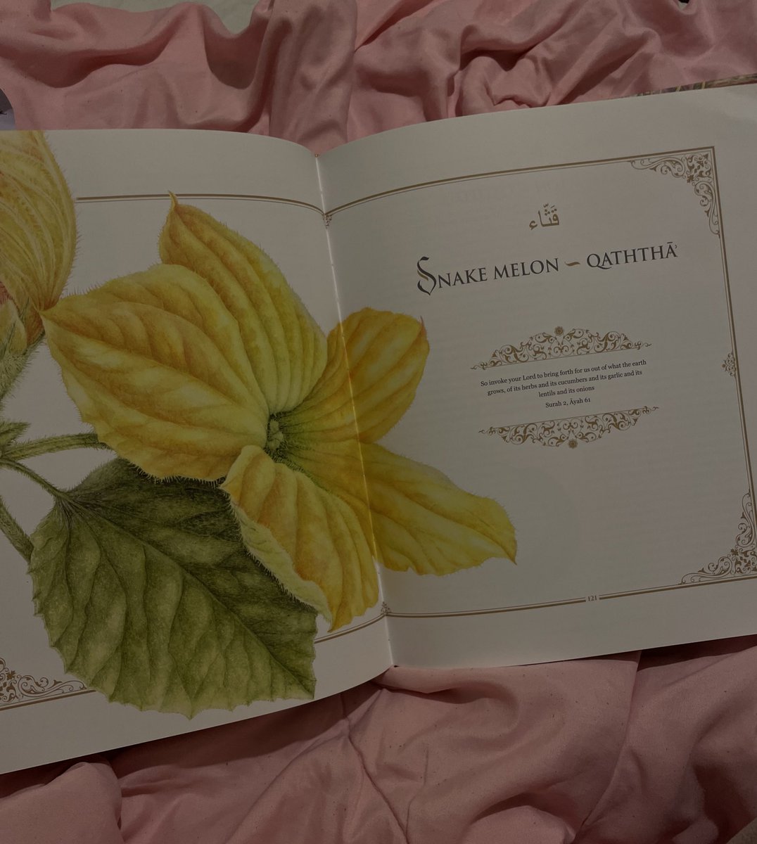 Alnaïr 🐺 большой злой волк tweet media