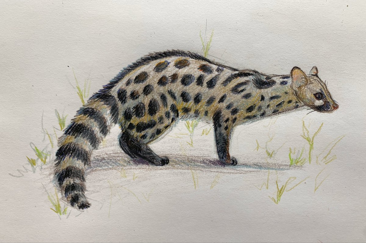 Cath !!! tweet media