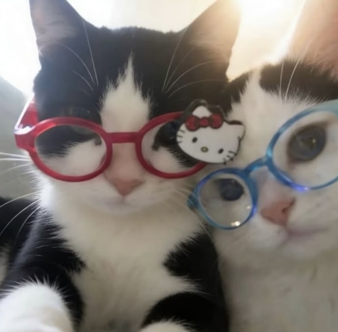 Laura 🩵 tweet media