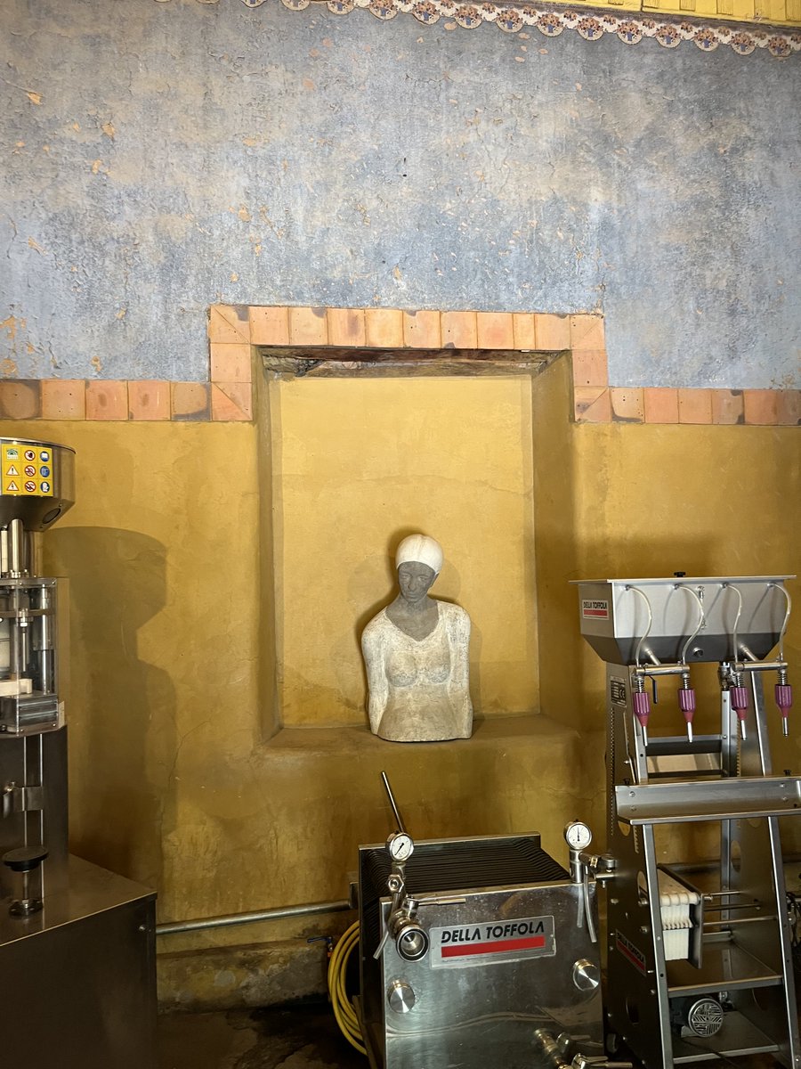 francisco cox tweet media