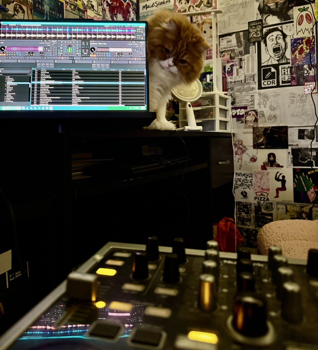 zoop 📡⭐️ tweet media