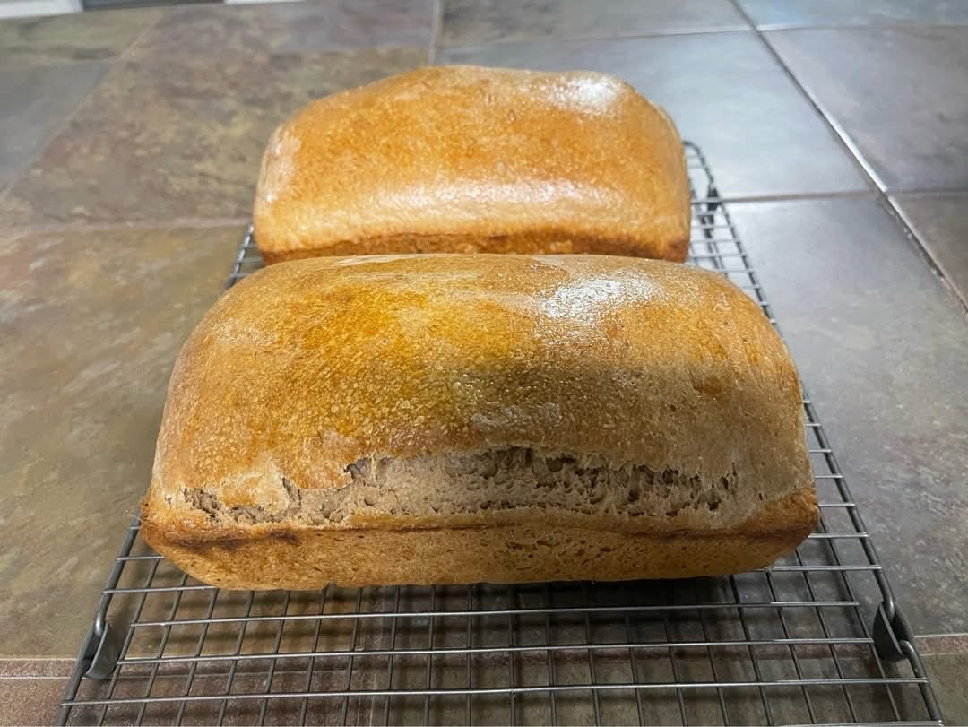 Jackie Nieukirk tweet media