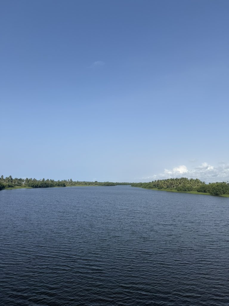 Euvic A, PharmD tweet media