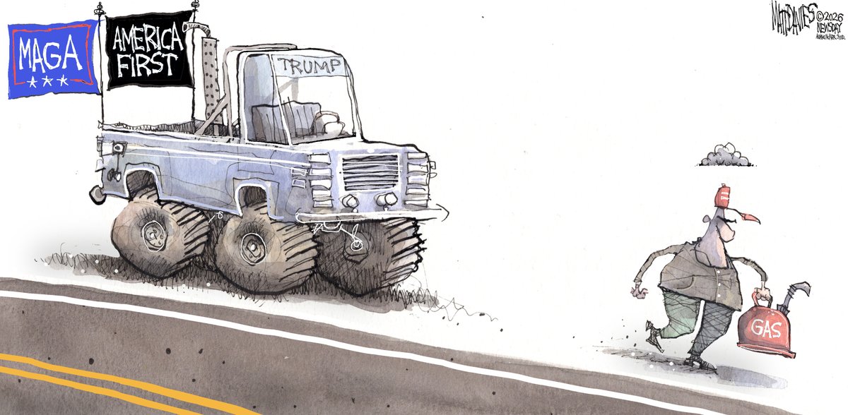 Matt Davies tweet media