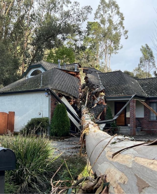 Duo Blackrose tweet media