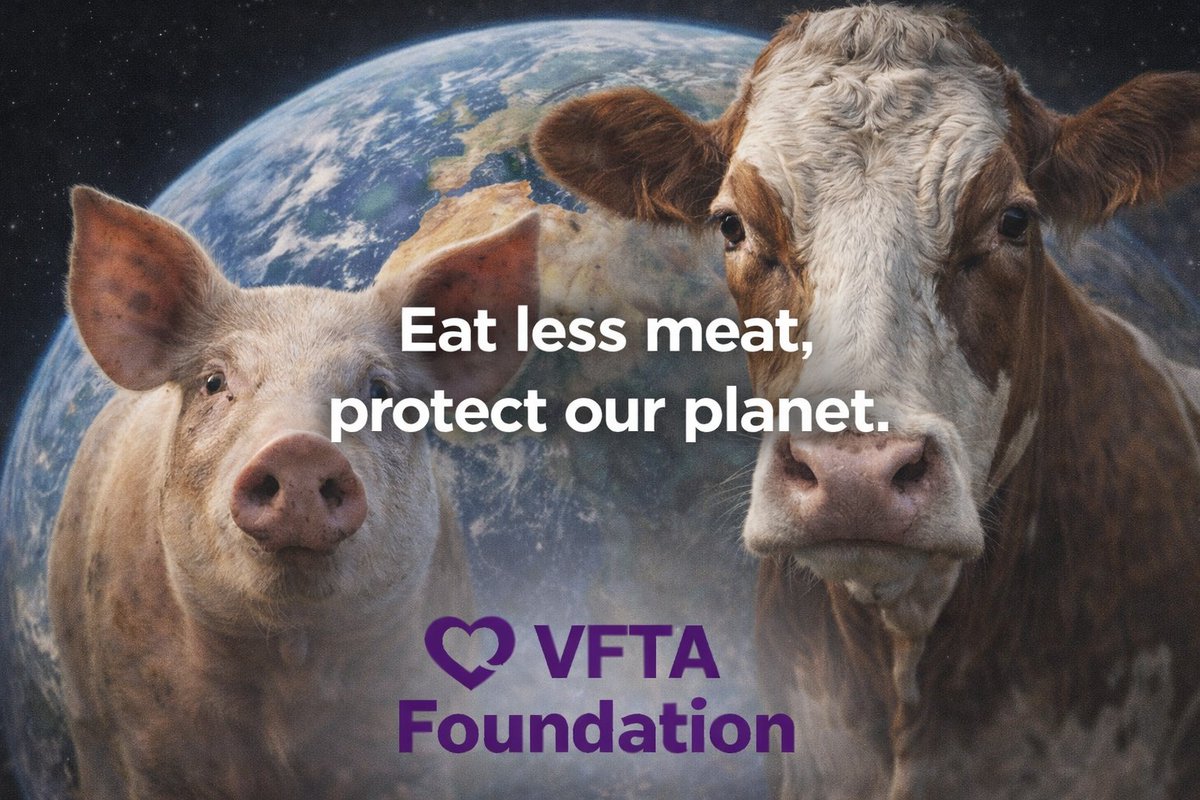 VFTAFoundation's tweet image. France is urging citizens to eat less meat to cut emissions and protect the planet. 
This approach tackles climate change, public health, and animal welfare at once.

Read: euronews.com/2026/02/16/fre…

Should more governments follow? Reply with your thoughts.
#EatLessMeat