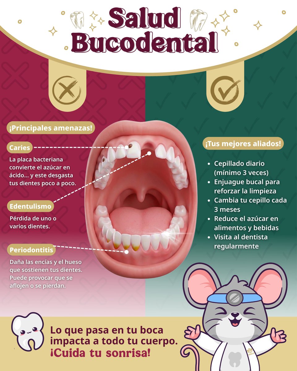 ISSSTE_mx's tweet photo. 😁 Tu sonrisa habla por ti… Pero también refleja tu salud. 🦷✨

Lo que ocurre en tu boca no se queda ahí: Puede afectar tu bienestar general 💙, alimentación 🥙, autoestima 🫂 e incluso tu economía 🪙. El dolor y los tratamientos complejos pueden evitarse con algo muy poderoso: ⭐🦷 La prevención🦷⭐

😉 Detectar a tiempo, acudir a revisiones periódicas y mantener hábitos saludables marca la diferencia. Pequeñas acciones diarias hoy, grandes beneficios mañana. 😄

😎  Porque cuidar tu sonrisa no es solo estética… Es salud integral. 🫶