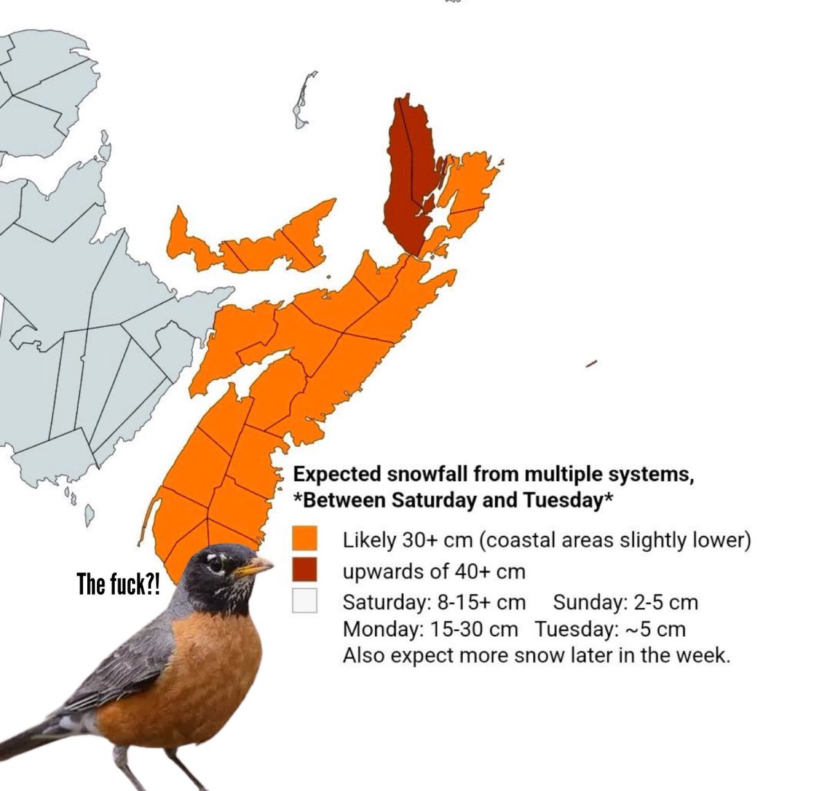 Andy Bowers tweet media