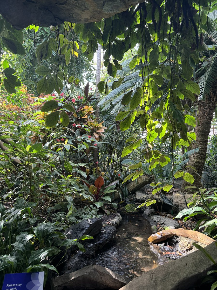 Ragers Stadium tweet media