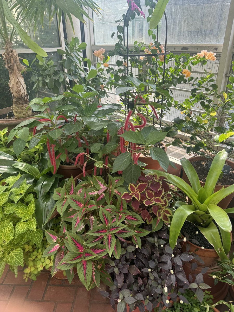 Ragers Stadium tweet media