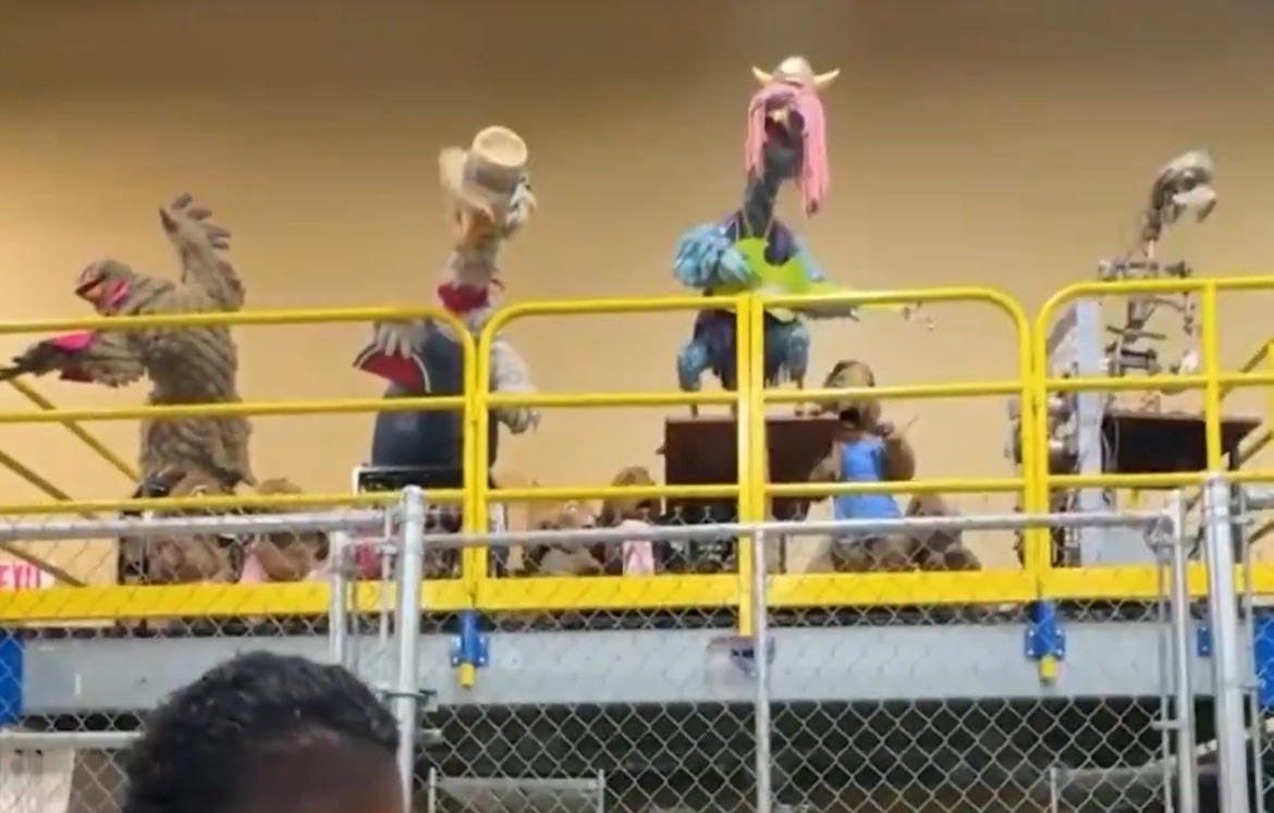 Splash Mountain Historical Society tweet media