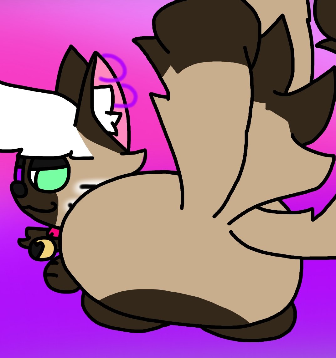 Schnucki Putzi tweet media