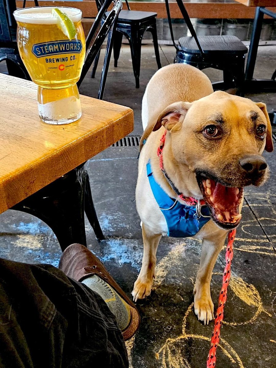 Steamworks Brewing tweet media