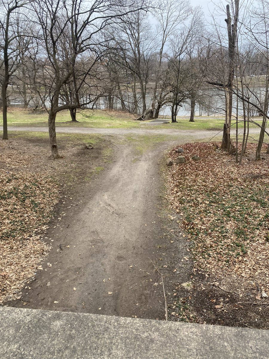 mercury, the miraculous tweet media