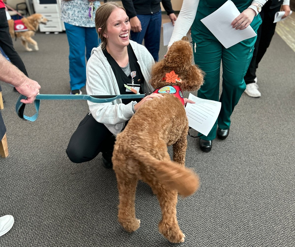 Nevada System of Higher Education tweet media