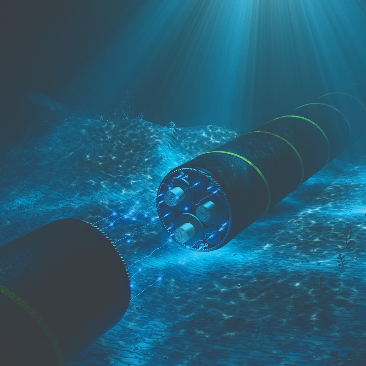 opnmagazine tweet media