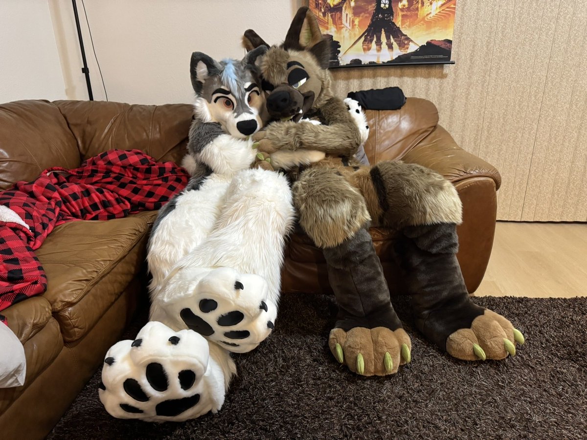 Erik Volkov tweet media