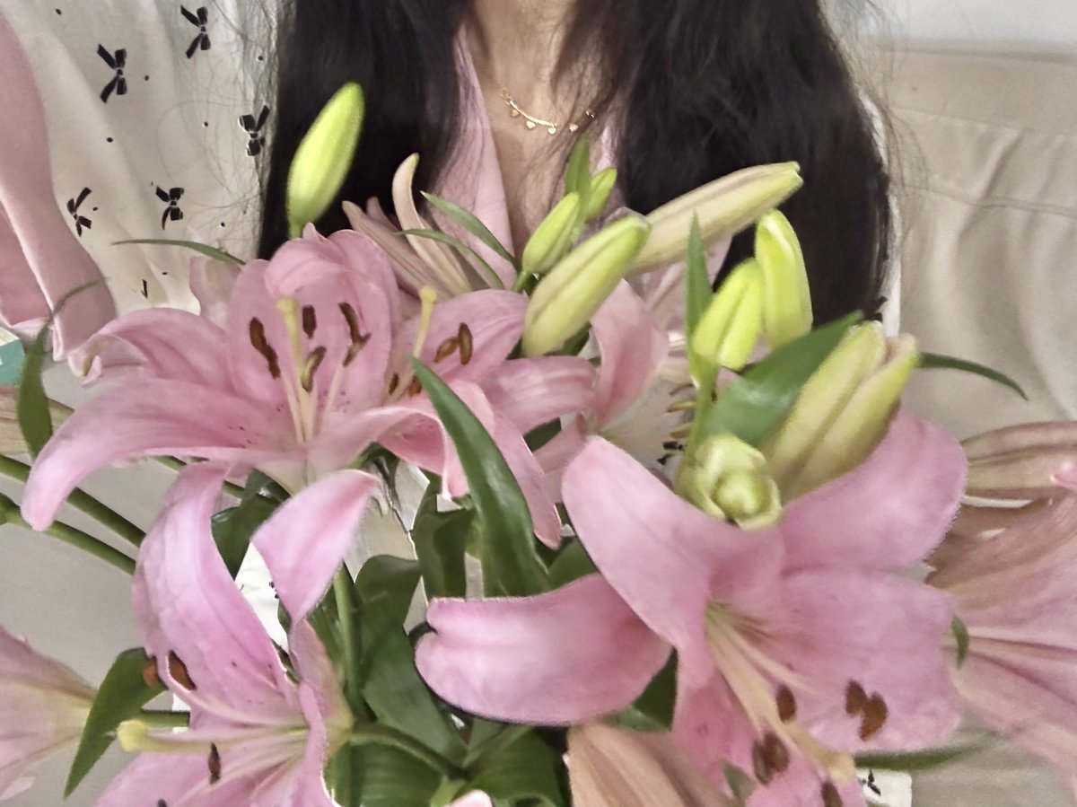 ๐๐๐๐ ๐โ๐๐๐๐ฆ ๐๐๐๐๊ช tweet media