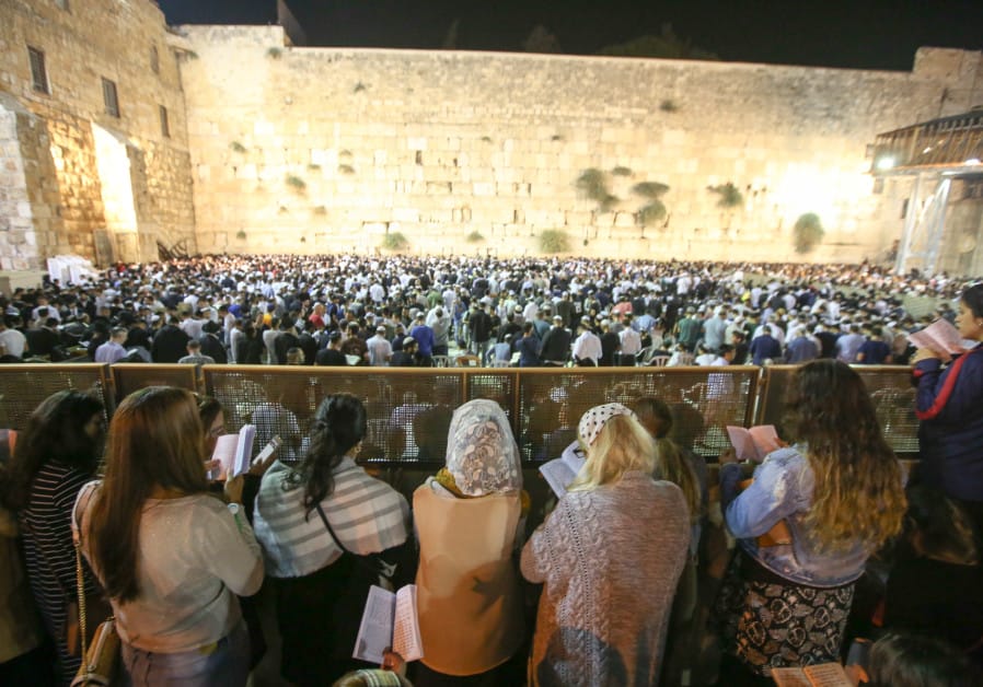 Organised_Chao5 tweet media