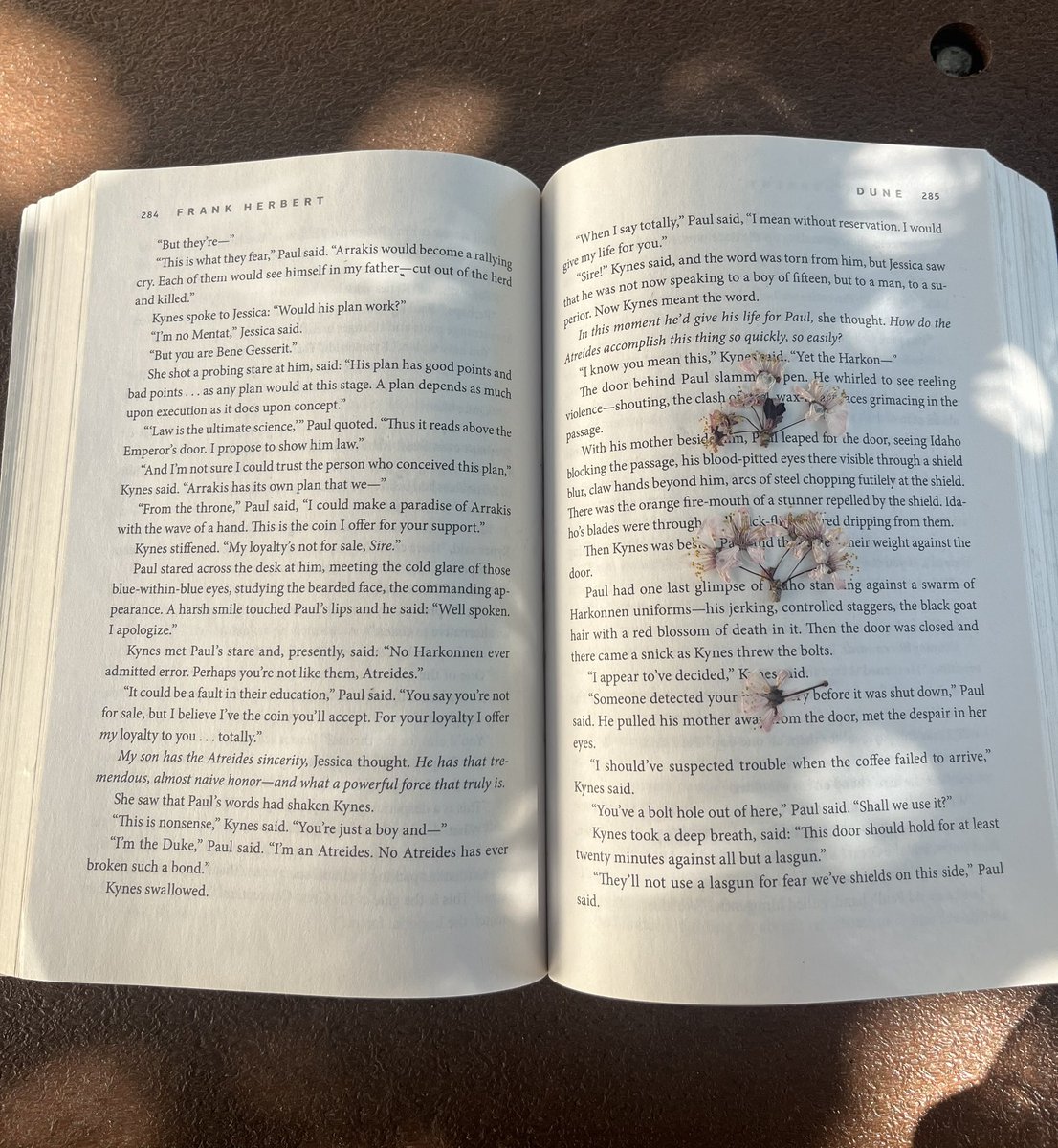 cupcake atreides 🧁 tweet media