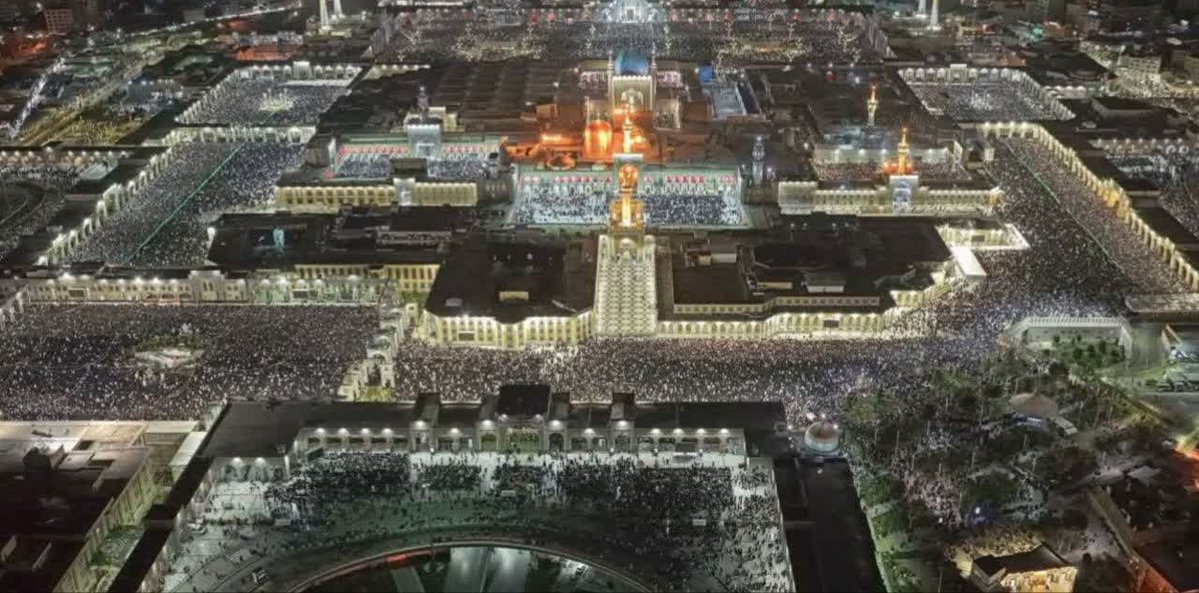 حلما ♥️☫💚 tweet media