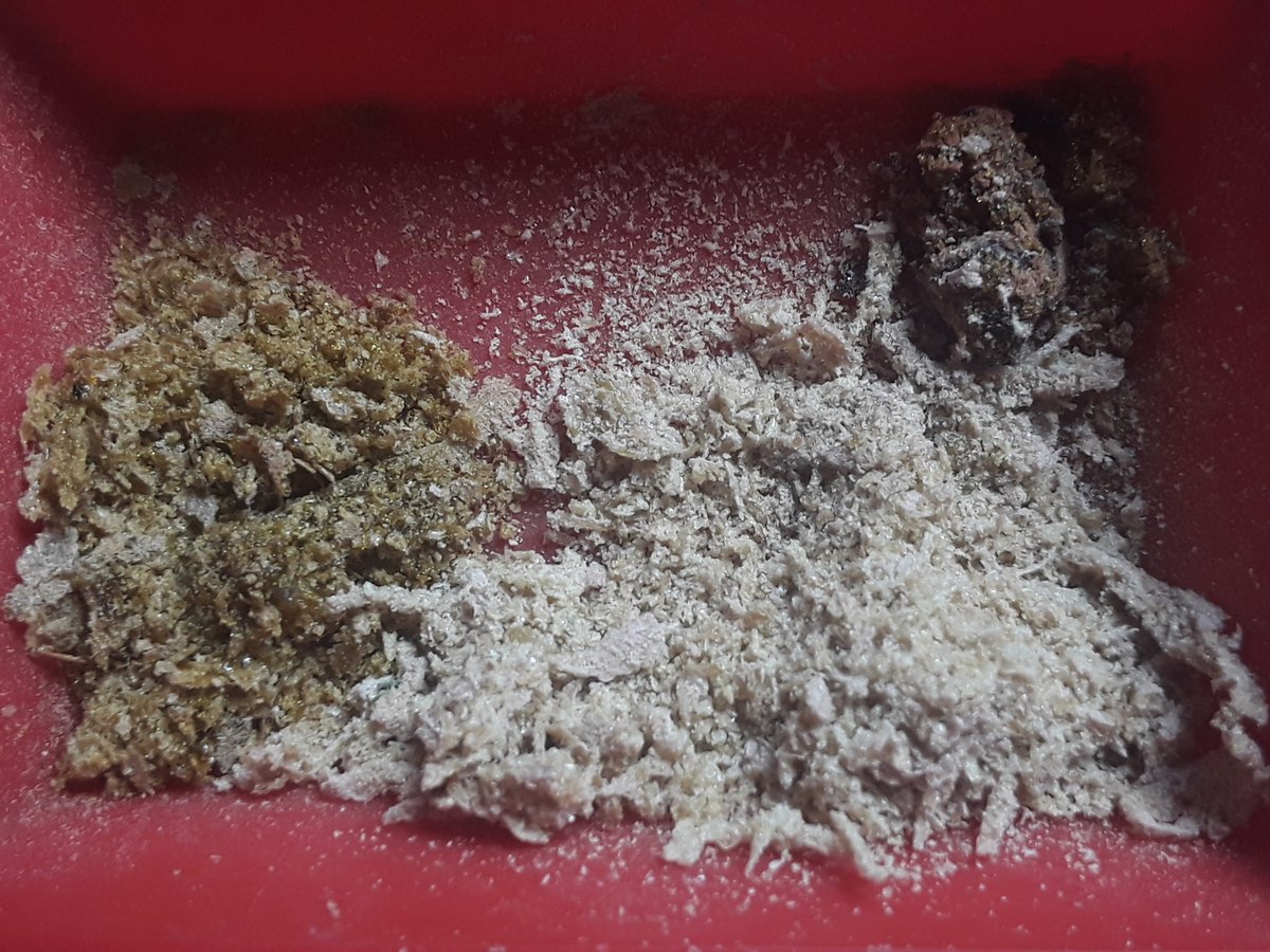 System_Normal tweet media