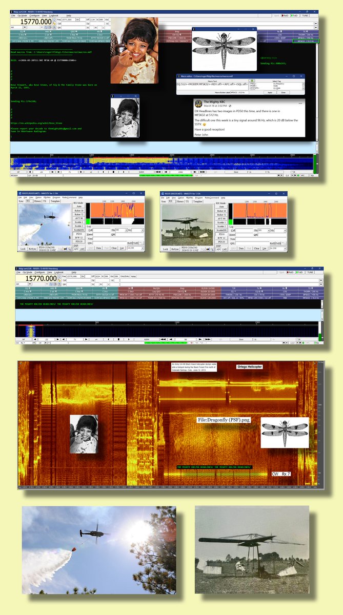 Roger Thauer tweet media