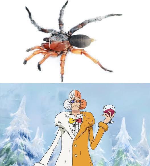 Soft💲🇺🇲🇳🇬 tweet media