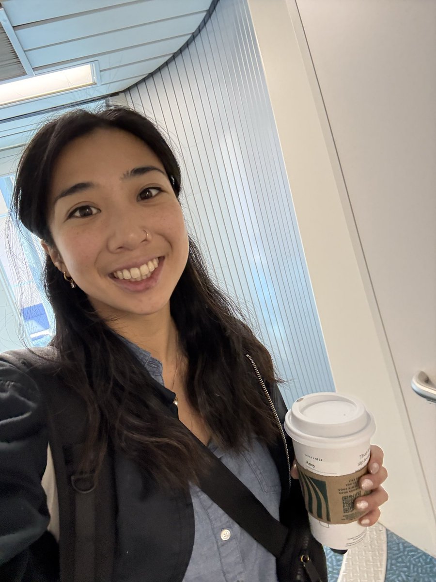 Amy Tom ☀️ tweet media