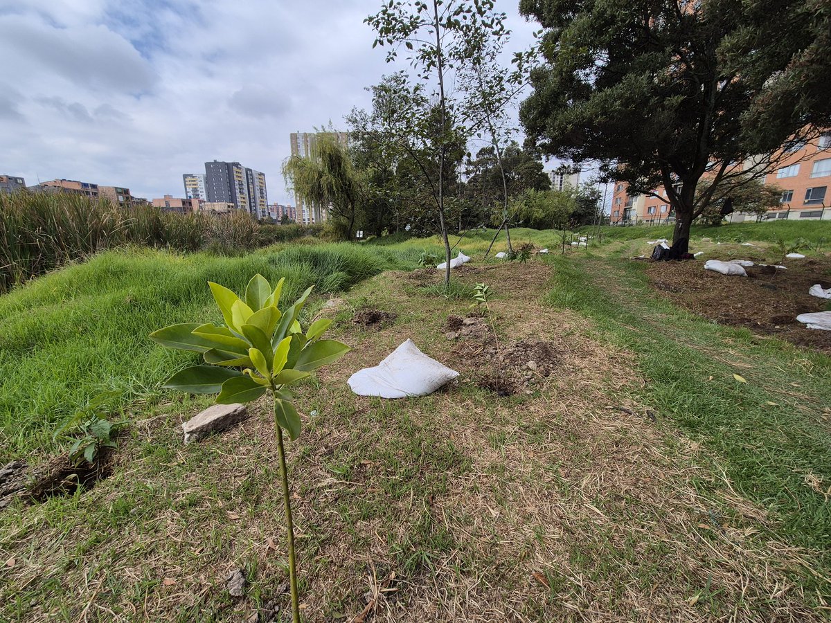 Secretaría de Ambiente tweet media