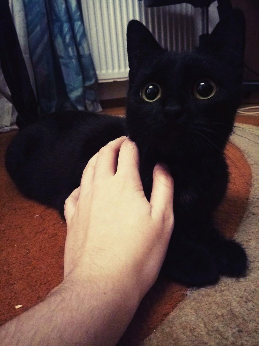 the MAN is arriving (Edgar’s Mom) tweet media