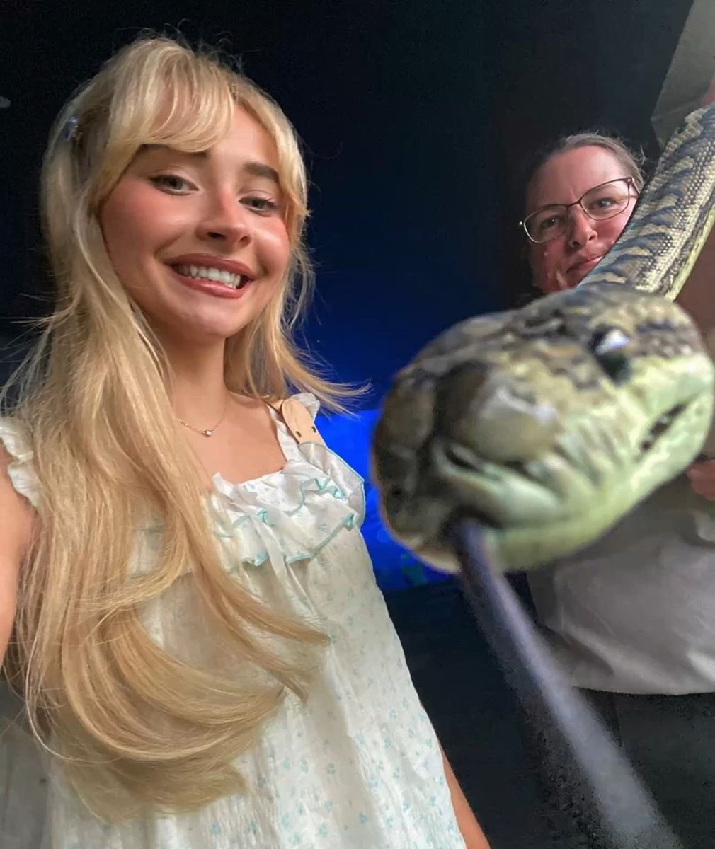 eicscoded🐾 tweet media