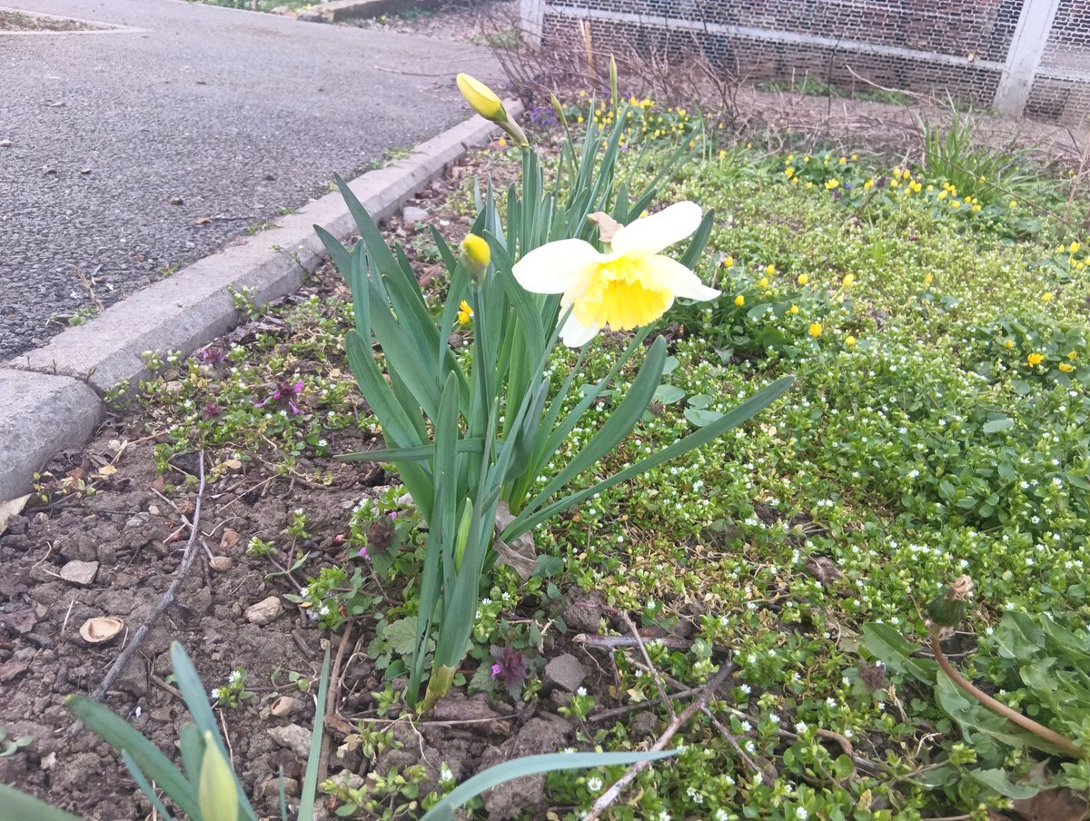 🐕Шавка из секты tweet media